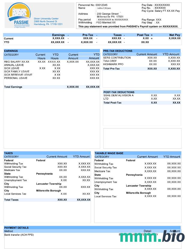 USA Dixon University center paystub w formatach Word i PDF